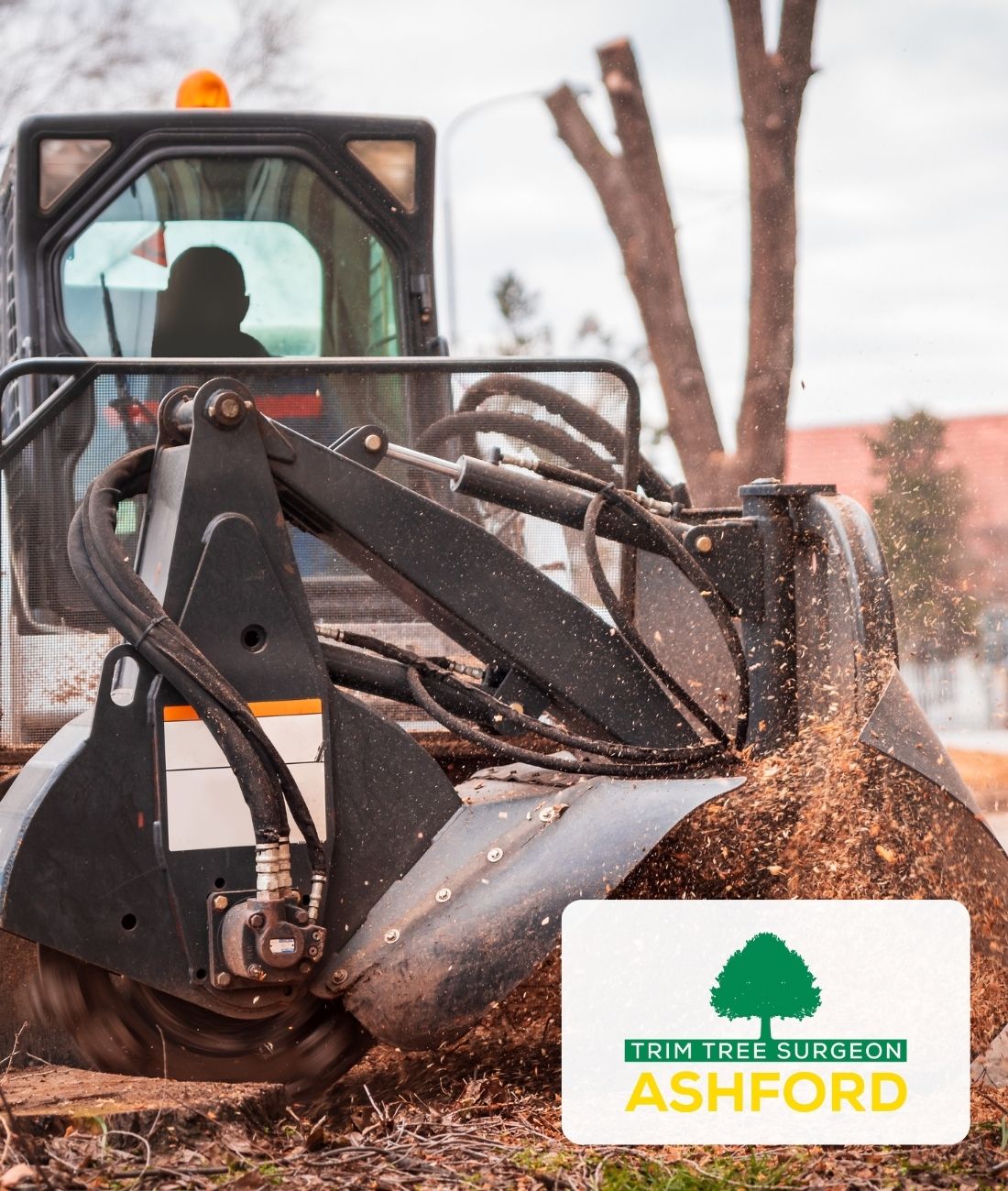 Ashford-Kent-Types-of-Tree-Stump-Removal