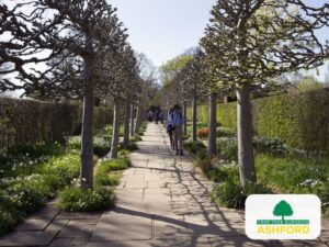 Ashford_Tree_Planting_Kent_TN23