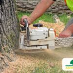 Ashford_Tree_Removal_Kent-Competitive