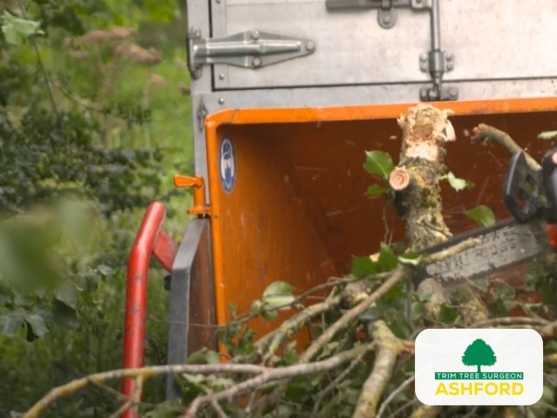 Ashford_Tree_Surgeon_Commercial