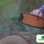 Emergency_Ashford_Tree_Surgeon