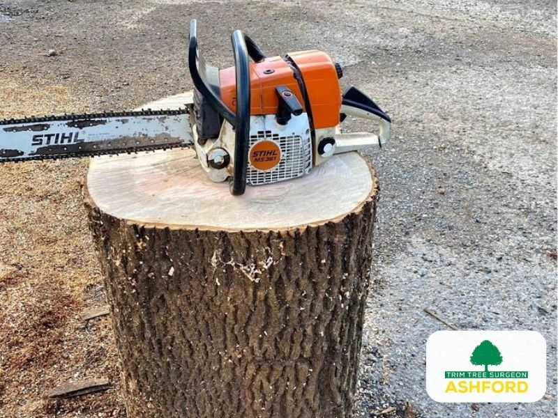 Tree-Stump-Removal-Kent-Ashford