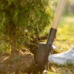 Tree_Planting_Kent_Ashford-BG