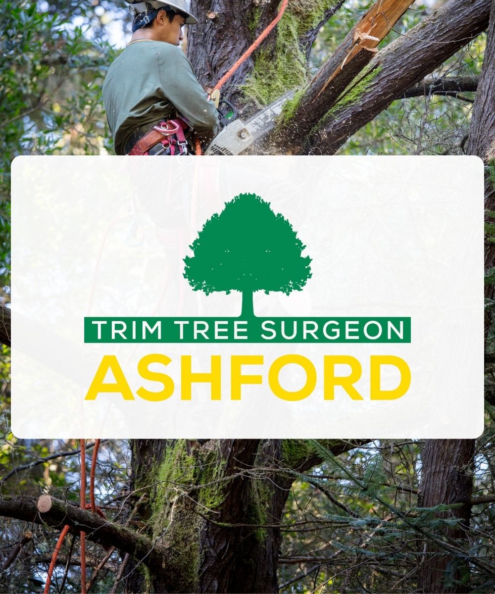 Trim-Tree-Surgeon-Ashford-Contact-Logo