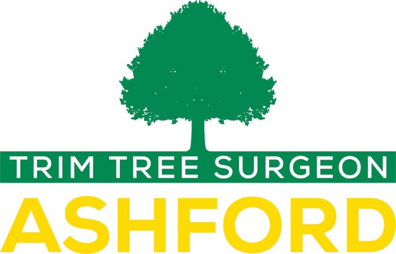 Trim-Tree-Surgeon-Ashford