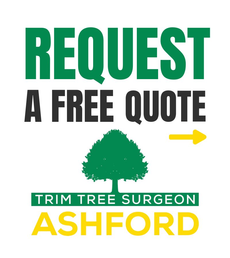 Trim Tree Surgeon Ashford- QUOTE