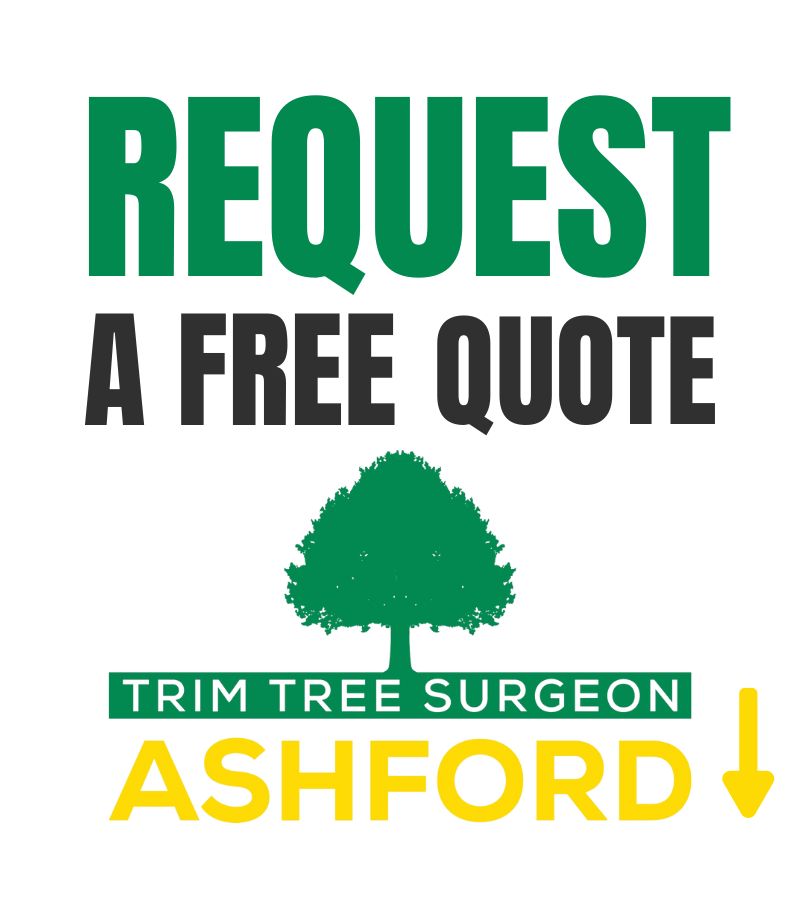 Trim Tree Surgeon Ashford- QUOTE MOBILE